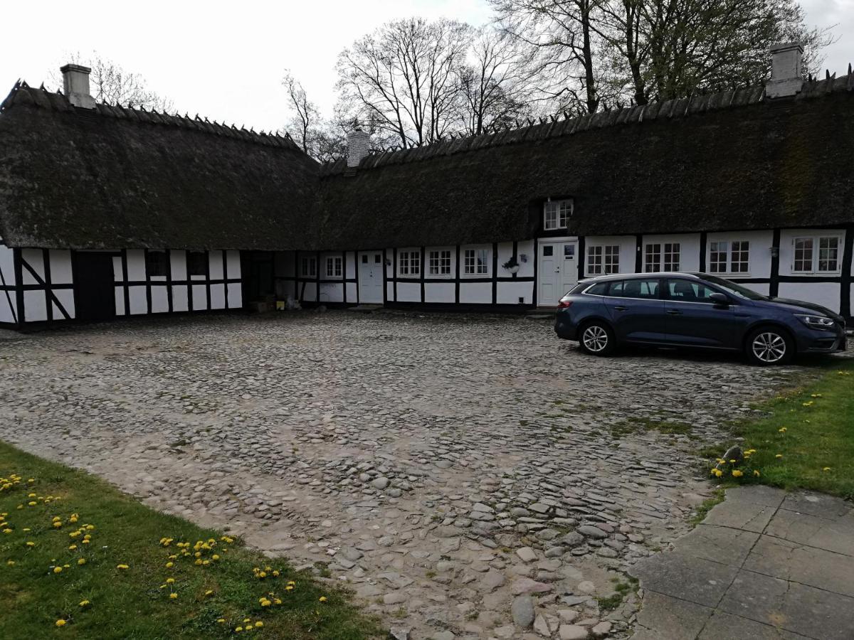 Baekgaarden B&B Lyndelse Exterior photo